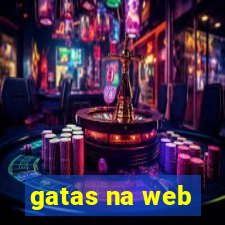 gatas na web